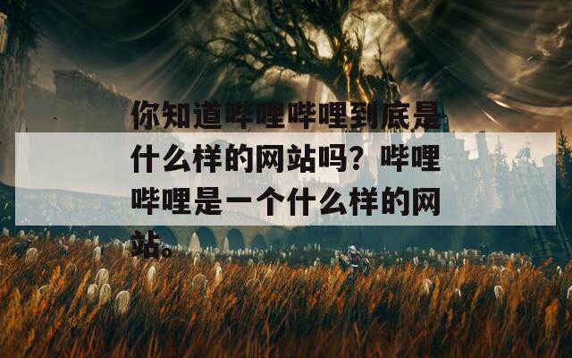你知道哔哩哔哩到底是什么样的网站吗？哔哩哔哩是一个什么样的网站。