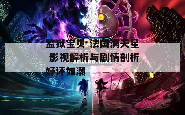 监狱宝贝 法国满天星 影视解析与剧情剖析好评如潮