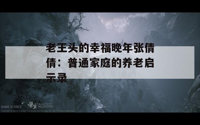 老王头的幸福晚年张倩倩：普通家庭的养老启示录