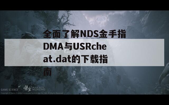 全面了解NDS金手指DMA与USRcheat.dat的下载指南