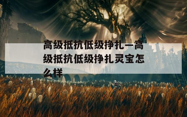高级抵抗低级挣扎—高级抵抗低级挣扎灵宝怎么样