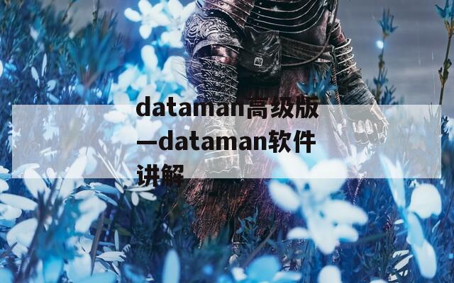 dataman高级版—dataman软件讲解