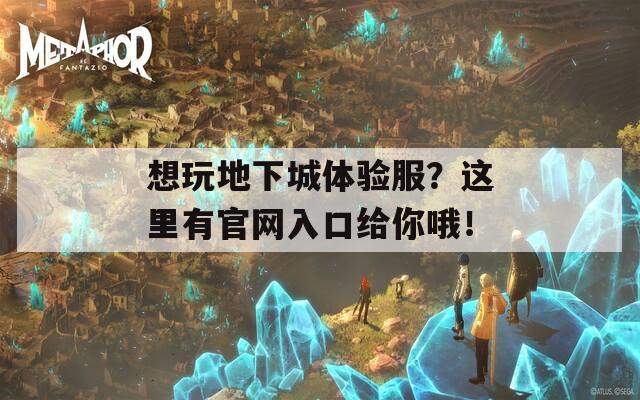 想玩地下城体验服？这里有官网入口给你哦！