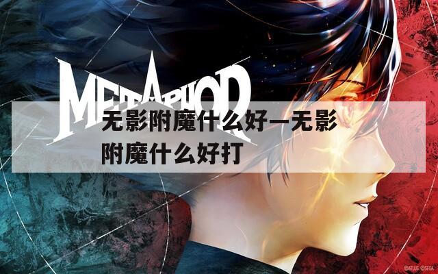 无影附魔什么好—无影附魔什么好打