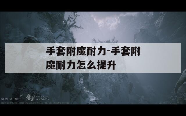 手套附魔耐力-手套附魔耐力怎么提升