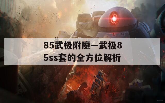85武极附魔—武极85ss套的全方位解析
