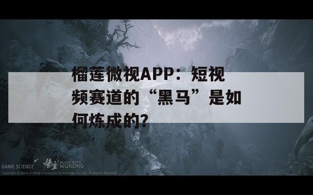 榴莲微视APP：短视频赛道的“黑马”是如何炼成的？